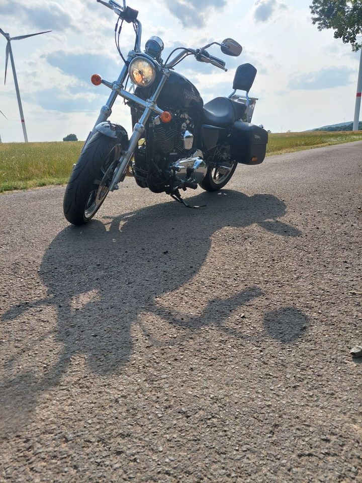 Harley Davidson XL 1200 T in Schlüchtern