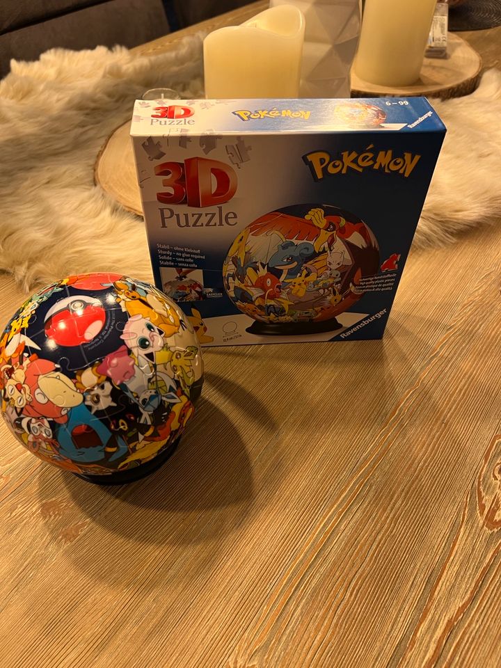 Pokémon 3D Puzzle in Alsdorf