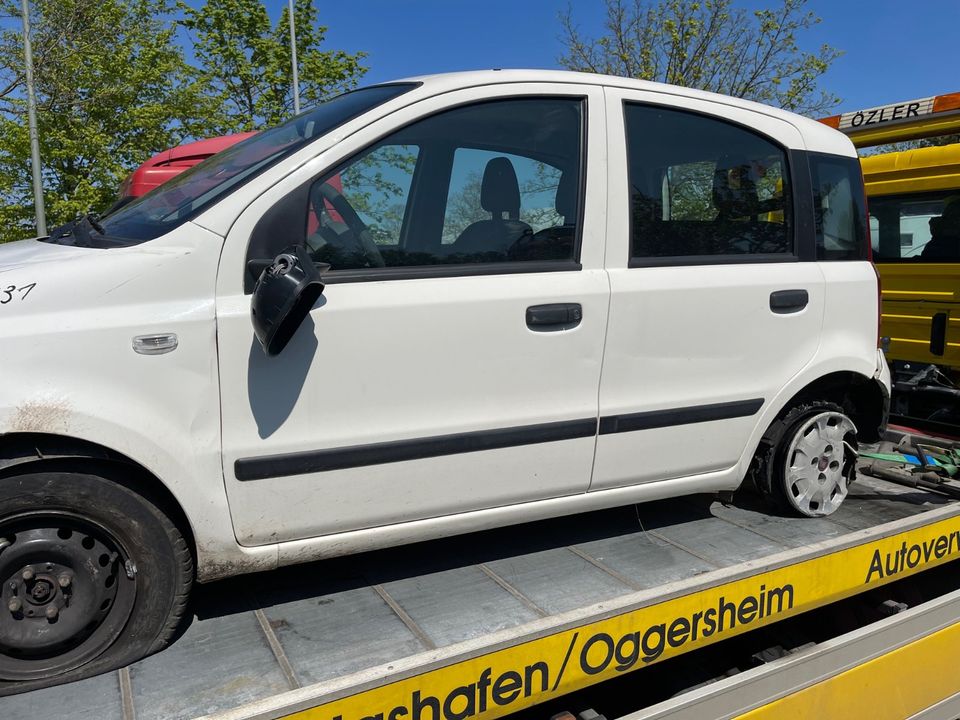 Schlachtfest Fiat Panda in Ludwigshafen