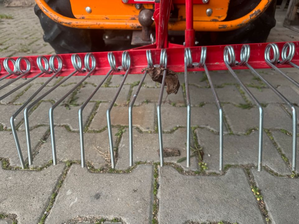 DEMA Rasenstriegel Rasenkamm Vertikutierer Moos entferner in Gallmersgarten