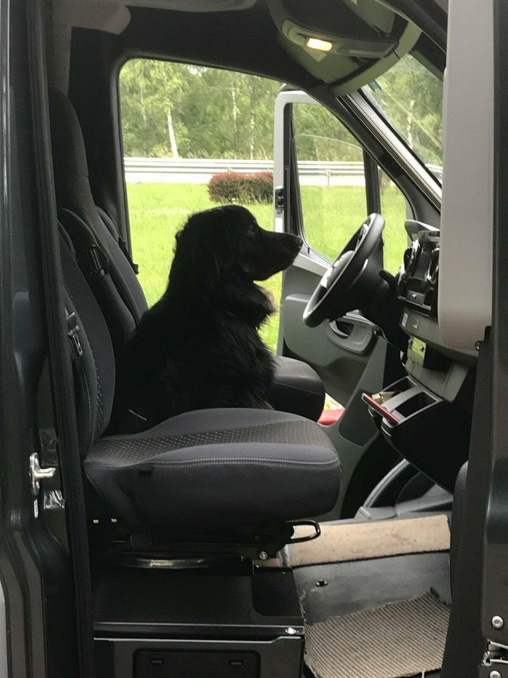 Hundeschule Hausbesuch - Welpen, Junghunde in Haselbach b. Mitterfels