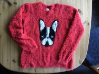 Flauschiger Strick-Pulli Motiv Hund Größe 158/164 Niedersachsen - Westoverledingen Vorschau