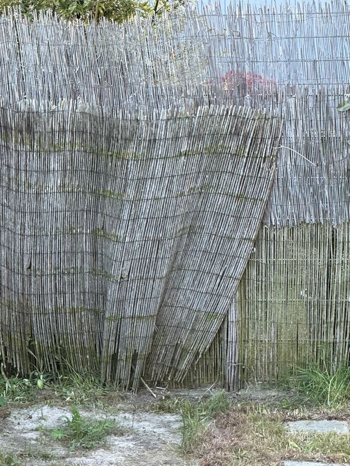 Bambusmatte. Sichtschutz in Elsenfeld