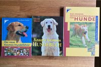 Buch Ratgeber Hund Rasse Kosmos Knaur Wissen Erziehung Berlin - Hellersdorf Vorschau