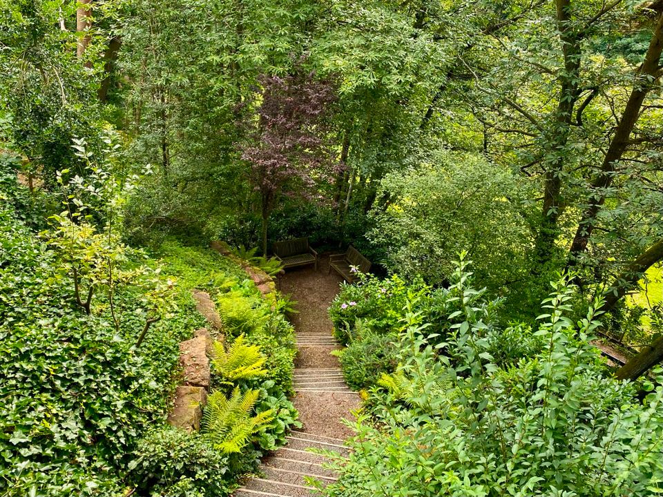 Modernes und exklusives Wohnen – eingerahmt von altem Baumbestand in Dörrenbach