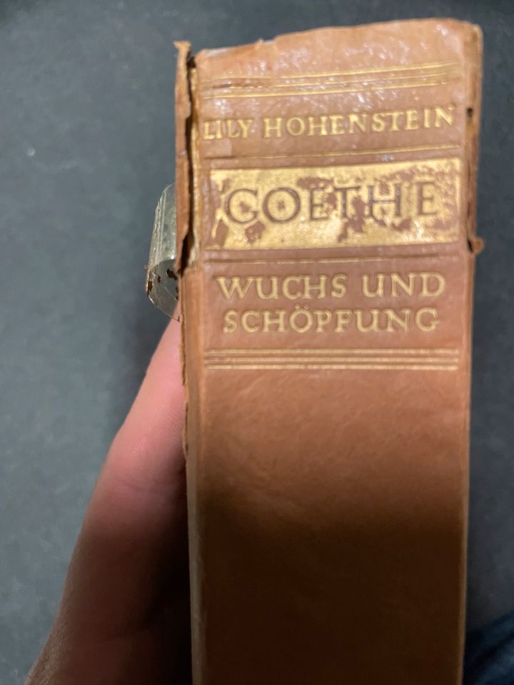 Buch alt dekorativ Goethe Göthe Hohenstein #24 Biographie in Markkleeberg