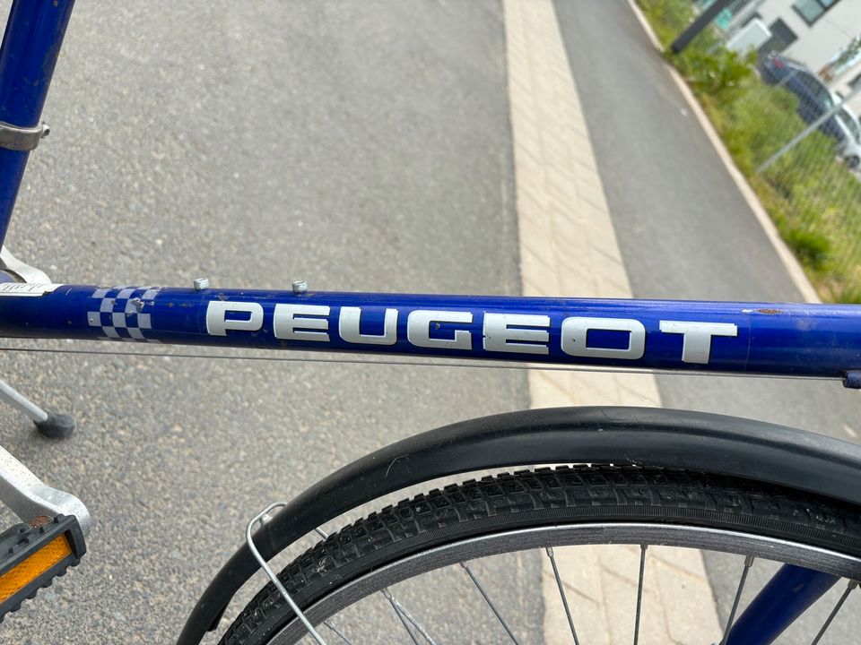 Peugeot Herren Fahrrad in Aschaffenburg