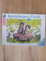 Ravensburger Puzzle 1000 Teile Katzen Sachsen - Pegau Vorschau