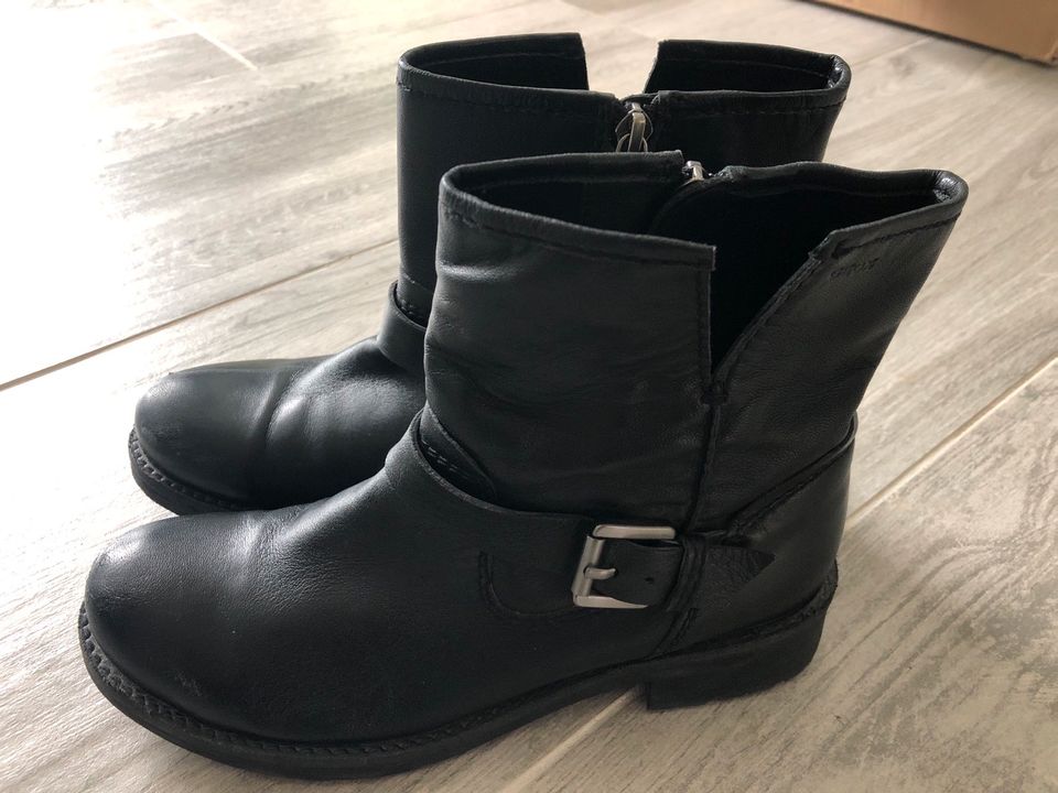 Geox Stiefel Stiefeletten Leder Gr. 36 neuwertig in Hannover -  Bothfeld-Vahrenheide | eBay Kleinanzeigen ist jetzt Kleinanzeigen