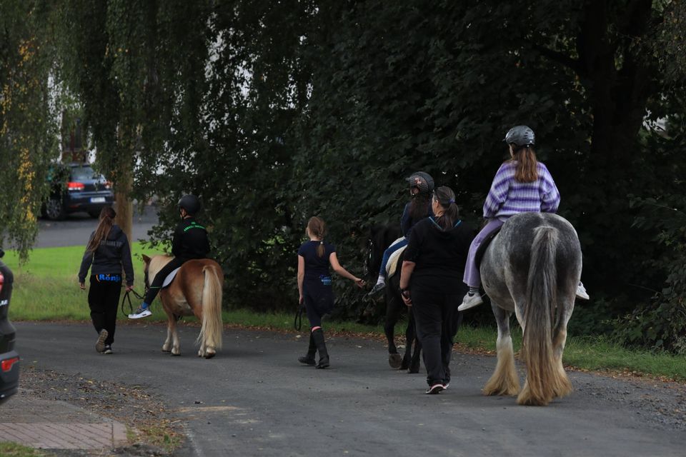 Erlebnis-Wochenenden in unserer exclusiven Reitschule! in Asbach