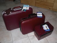 Delsey Koffer-Set mit Beautycase, Vintage 70er Jahre Bayern - Landau a d Isar Vorschau