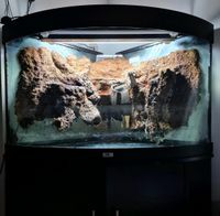 Juwel Eckaquarium 190l (Terrarium) Nordrhein-Westfalen - Paderborn Vorschau