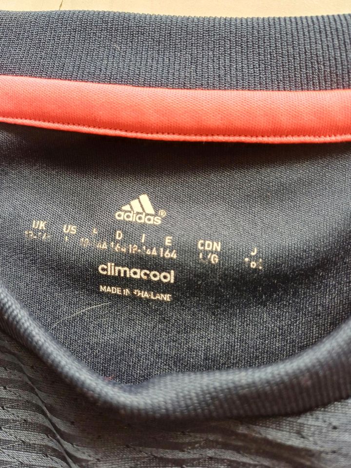 Fußballshirt Mädchen Gr. 164, adidas/ Bayern MÜ in Bisingen