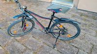 Radon Mountainbike zu verkaufen Stuttgart - Vaihingen Vorschau