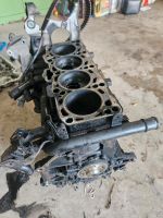 Vw motorblock tdi 2 Liter, BMP Nordrhein-Westfalen - Rietberg Vorschau