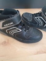 Geox Schuhe Blinkfunktion Gr. 31 wie neu Nordrhein-Westfalen - Dorsten Vorschau