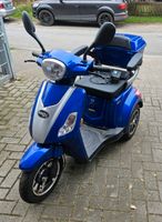 Rolektro E- Trike 25 Elektromobile Niedersachsen - Nienburg (Weser) Vorschau