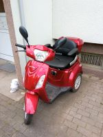 Elektro-Scooter Sachsen-Anhalt - Querfurt Vorschau