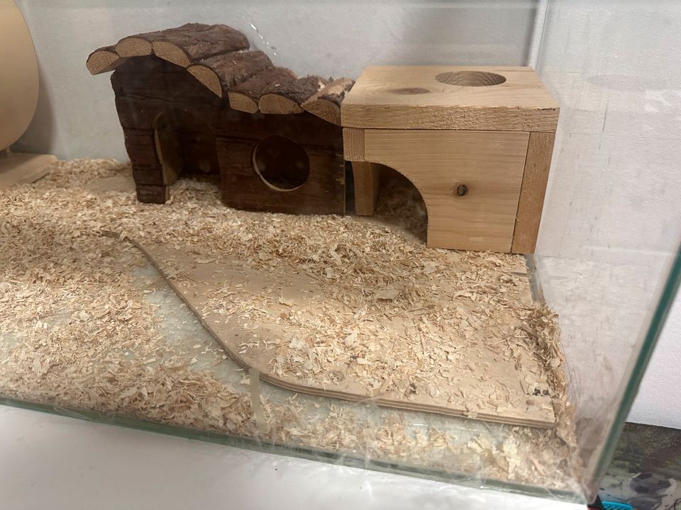 Terrarium zu verschenken (mit Glasschaden siehe Beschreibung) in Walluf