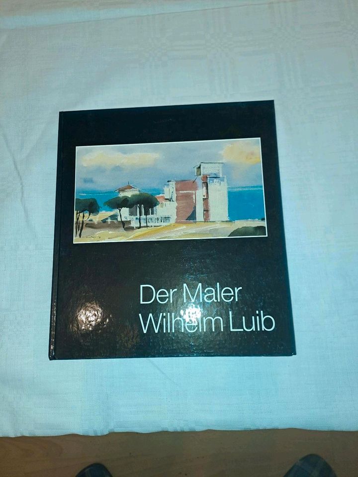 Buch Ulmer Maler Wilhelm Luib in Ulm