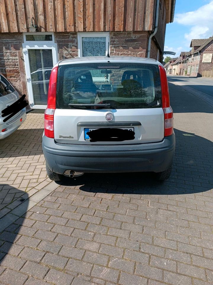 Fiat Panda mit LPG Gasanlage in Stadtoldendorf