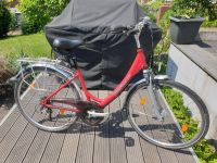 Damenfahrrad Rattenfänger Rad Niedersachsen - Aerzen Vorschau