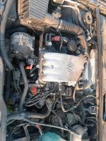 Motor VW Golf/ Vento/Passat 1,6 74kw Rheinland-Pfalz - Knittelsheim Vorschau