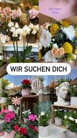 Wir Suchen  Florist/in , Gärtner/in, Gestalter/in Duisburg - Hamborn Vorschau