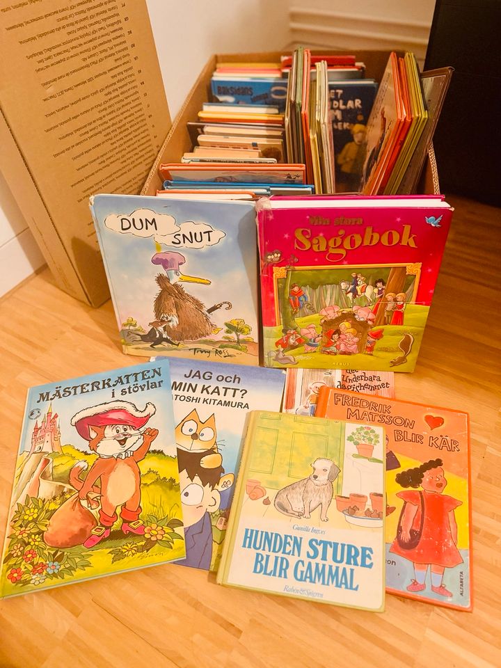 Eine Kiste Kinder- und Jugendbücher aus Schweden in Meißen