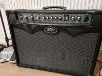 Peavy Vypyr 100 Gitarrenamp/Verstärker/Modelingamp Rheinland-Pfalz - Neustadt an der Weinstraße Vorschau