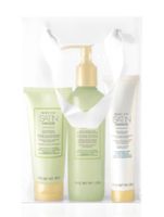 NEU - MARY KAY Satin Hands - Set White Tea & Citrus Baden-Württemberg - Beilstein Vorschau