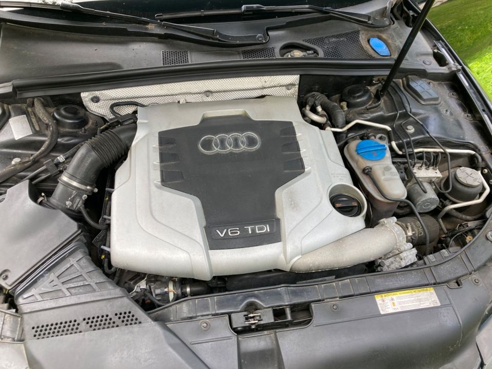 Audi A5 Cabrio 3.0 TDI S-Tronic Quattro S-Line B&O in Wiehl