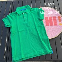 Esprit Poloshirt Rheinland-Pfalz - Föhren bei Trier Vorschau