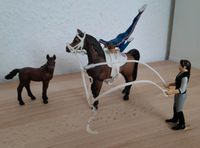 Schleich Voltigier-Set Pferd Fohlen 2 Figuren Trainerin Turnerin Hessen - Fulda Vorschau