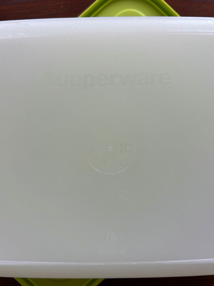 Tupperware - Dose - grün in Luckau