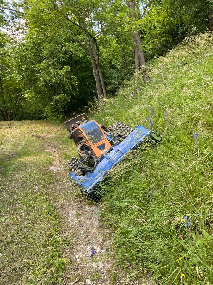 Mähen Mulchen Mähraupe Brombeer Hecke verwildertes Grundstück in Künzelsau