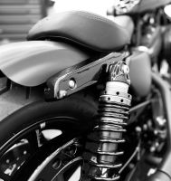 Harley Davidson Struts Fender kurz Sportster Nordrhein-Westfalen - Bergkamen Vorschau