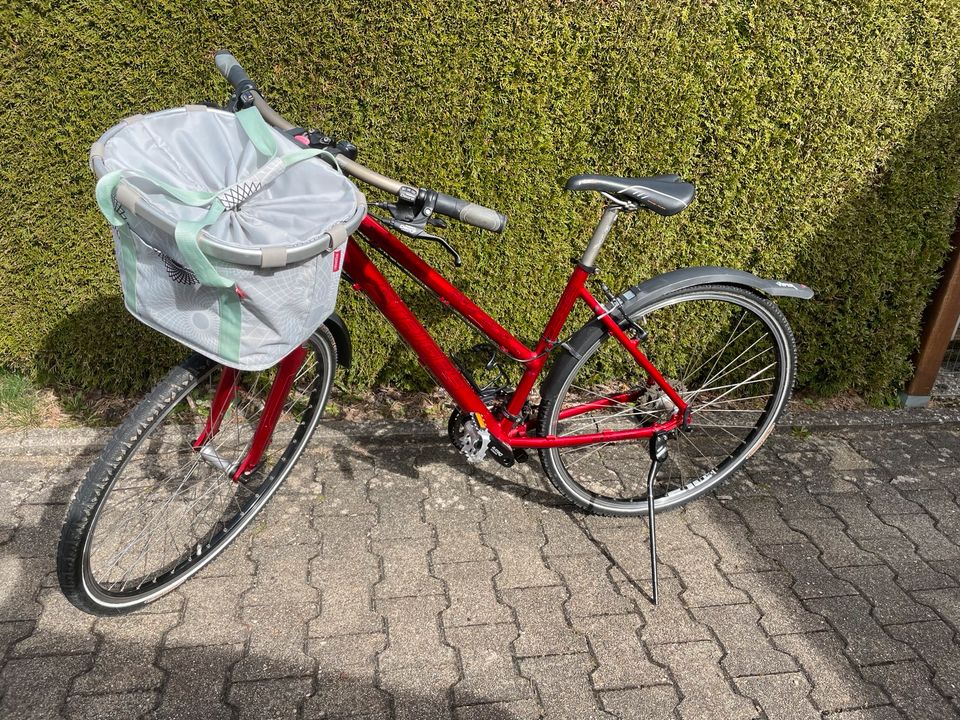 Mountainbike von Staiger in Loßburg