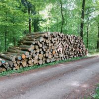 Kaminholz, Brennholz, Feuerholz REINE BUCHE Niedersachsen - Rosengarten Vorschau