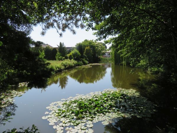 *Resse* großzügige Architektenvilla direkt am Teich und Waldrand. in Wedemark