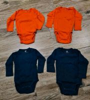 Baby Bodys / H&M / Größe 74 Nordrhein-Westfalen - Tecklenburg Vorschau