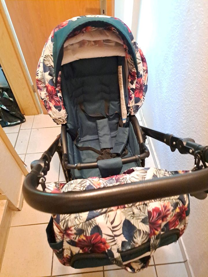 Kinderwagen 3 . 1 in Sögel