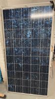 PV Modul Solarmodul aleo S16 top Zustand 175 wp Dortmund - Mitte Vorschau