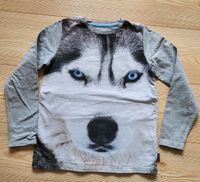 Jako-o Sweatshirt Wolf 140/146 Rheinland-Pfalz - Lahnstein Vorschau