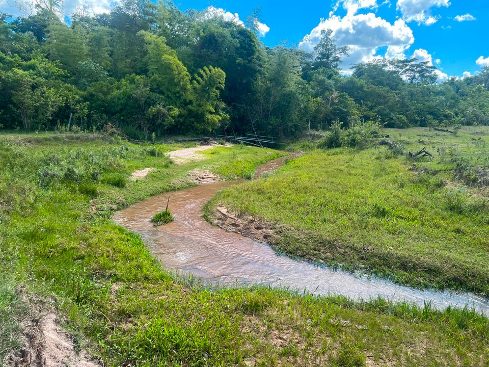 38 Ha. Grundstück mit Haus in Paraguay im D.San Pedro in Zossen-Zesch am See