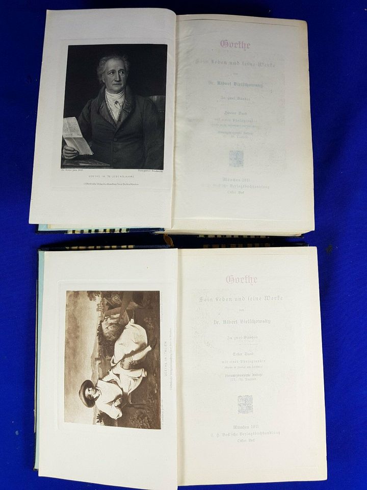 Goethe Sein Leben und seine Werke 2 Bände Beck 1911 Antik in Halle
