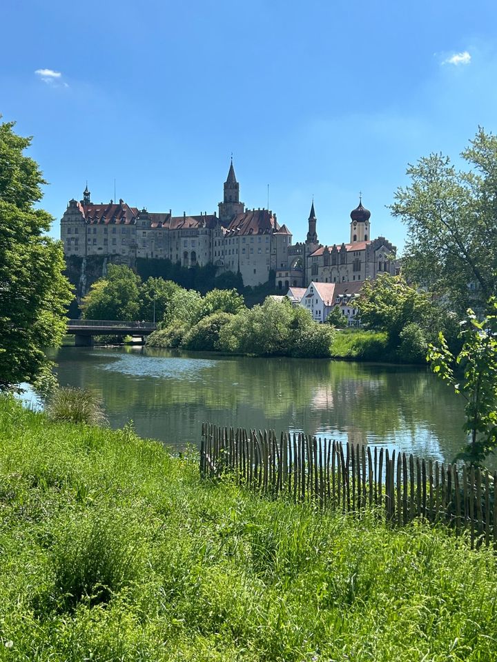 optimal für KAPITALANLEGER - 1-Zimmer Apartment in Sigmaringen in Sigmaringen