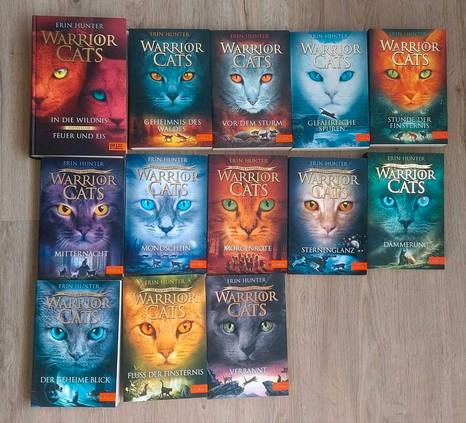 Warrior Cats Bücher Staffel 1,2,3 in Hamburg