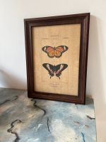 Sehr schöne Stiche Schmetterling Motiv - made in italia Berlin - Reinickendorf Vorschau