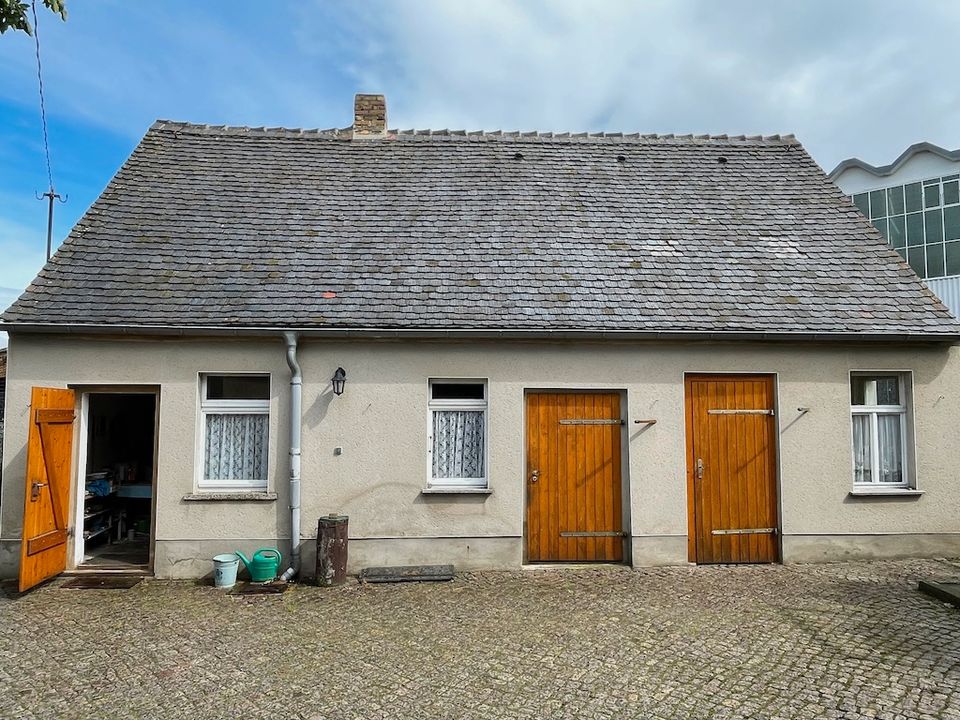 Preiswertes Einfamilienhaus mit Nutzgarten und Nebengebäuden vor den Toren Leipzigs - Tierhaltung möglich! in Rötha